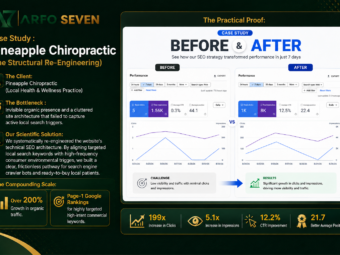 Pineapple Chiropractic SEO Case Study